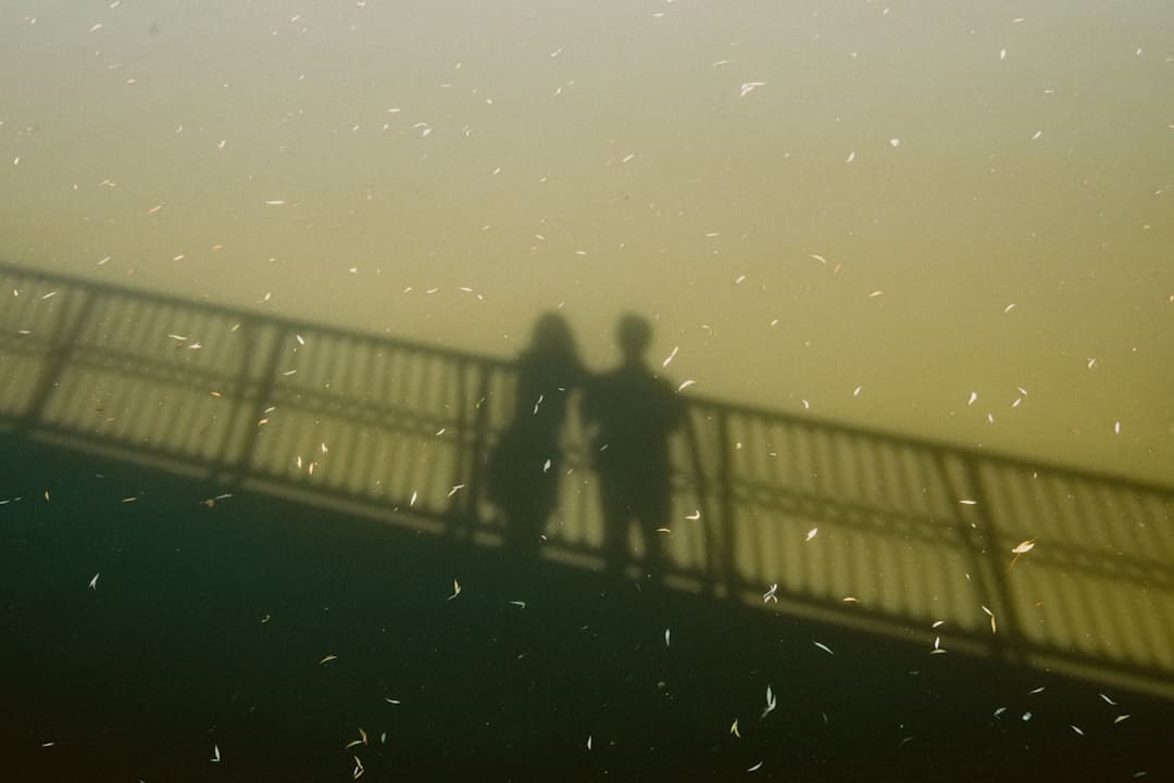 《聊斋:兰若寺》热映中 唯美梦境莲花公主篇燃情看护家乡